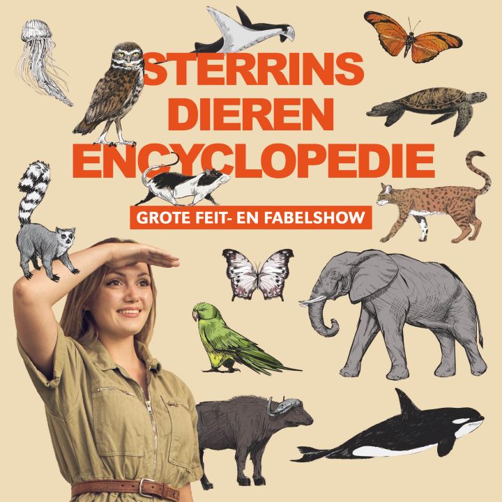 Sterrin Smalbrugge