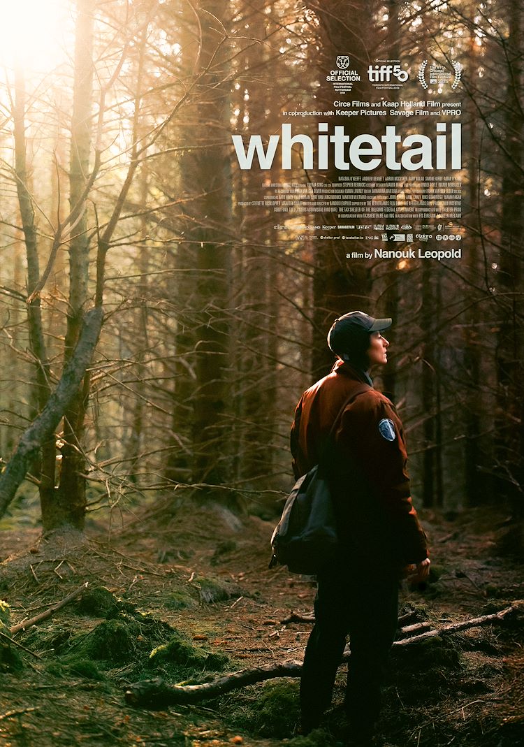 Whitetail